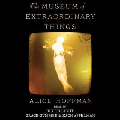 extraordinary,extraordinary exhibition