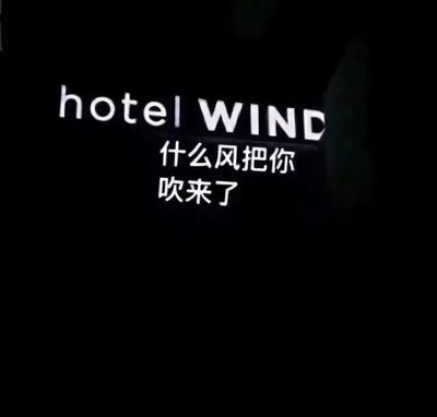 2022最火背景图片,2022最火背景图片狗