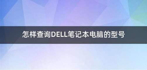 戴尔笔记本型号查询,戴尔笔记本型号怎么查