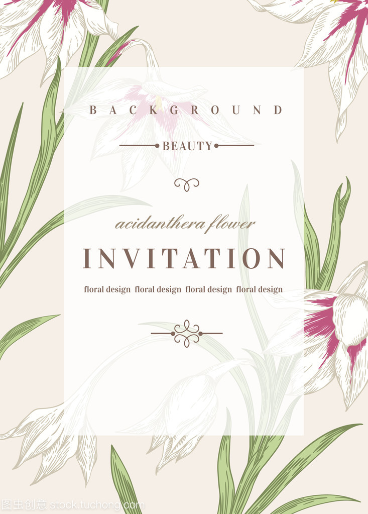 invitation,invitational