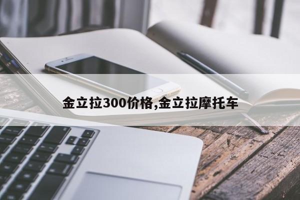 金立拉300价格,金立拉摩托车