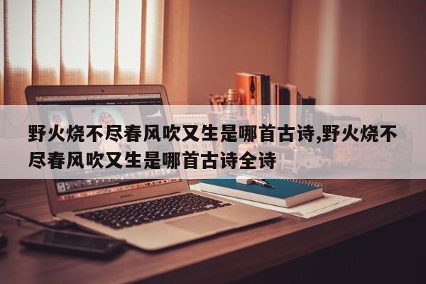 野火烧不尽春风吹又生是哪首古诗,野火烧不尽春风吹又生是哪首古诗全诗