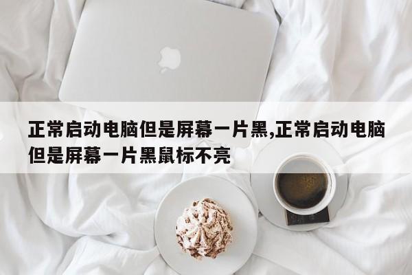 正常启动电脑但是屏幕一片黑,正常启动电脑但是屏幕一片黑鼠标不亮