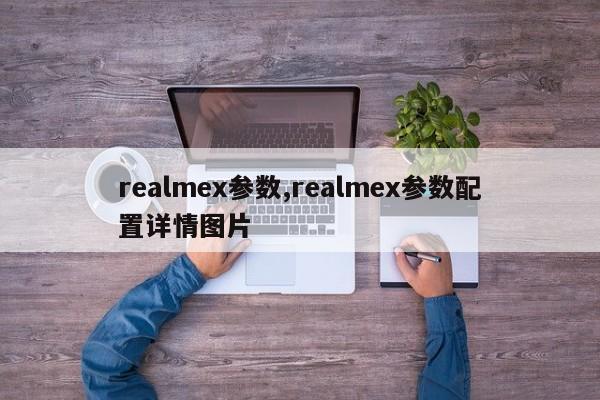 realmex参数,realmex参数配置详情图片
