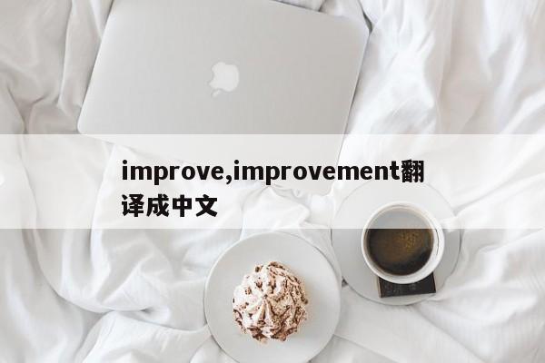 improve,improvement翻译成中文