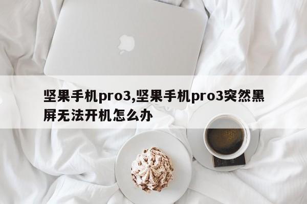 坚果手机pro3,坚果手机pro3突然黑屏无法开机怎么办