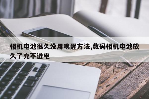 相机电池很久没用唤醒方法,数码相机电池放久了充不进电