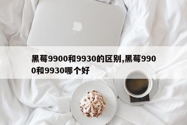 黑莓9900和9930的区别,黑莓9900和9930哪个好