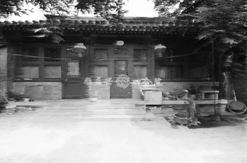 倪夏莲重返北京，时隔十六年的重逢与岁月的见证
