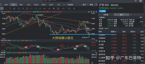 全市场仅8股下跌，股市繁荣背后的深度解析