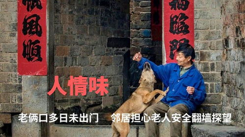 男子独闯哀牢山遭遇凶兽惊魂记，真相揭秘与个人回应