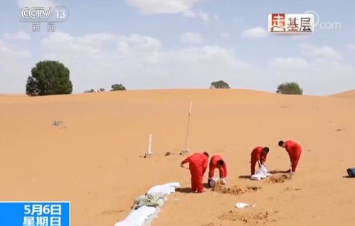 沙漠小城里的青春梦想，一位离家四千公里的00后教师之路
