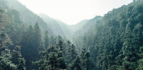 哀牢山部分区域开发成景区的探索与体验