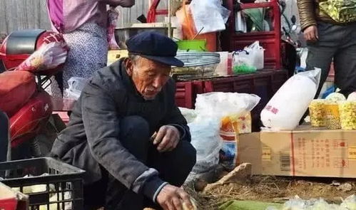 大妈路边摆摊卖水果遭遇罚款风波，真相背后的思考