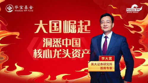 李大霄深度解析，今天A股行情的异常波动
