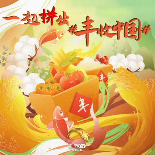 品味丰收喜悦，共赏节气之美