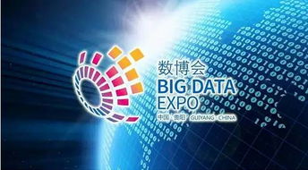 揭秘数字资产红利，平台发放背后的真相与谣言
