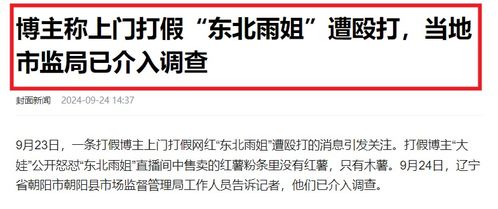 东北雨姐行为分析，潜在犯罪风险与法律责任探讨