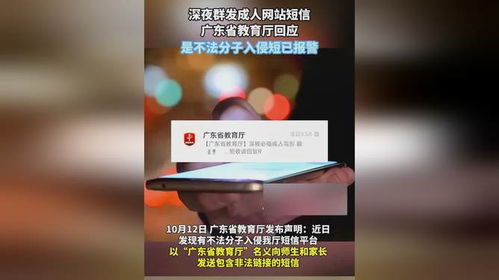 不法分子入侵广东省教育厅短信平台事件深度解析