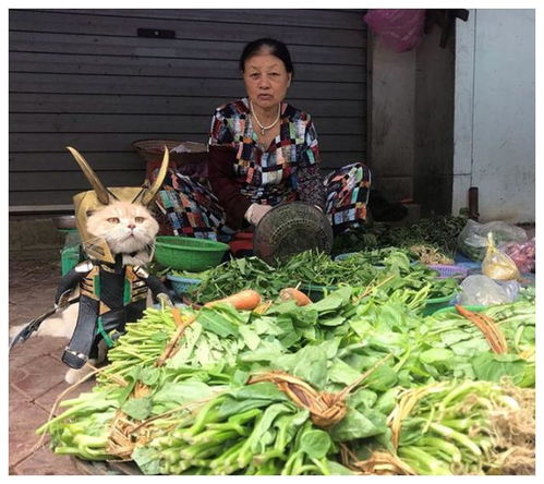 孙子大喜之日，奶奶倾心献上卖菜积蓄的万般祝福