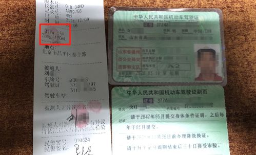 隧道口前的警示牌，查酒驾，代驾服务300元