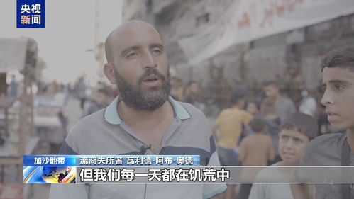 加沙居民的遗忘之味，西红柿的消失