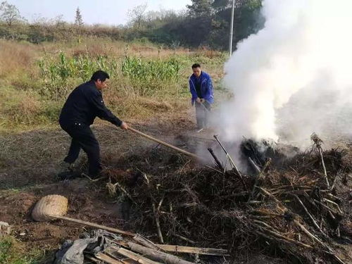 媒体报道，一刀切禁烧秸秆——对农民的折腾是否必要？