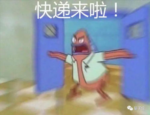 等待与惊喜，女生取快递时发现仓鼠咬开箱子等她