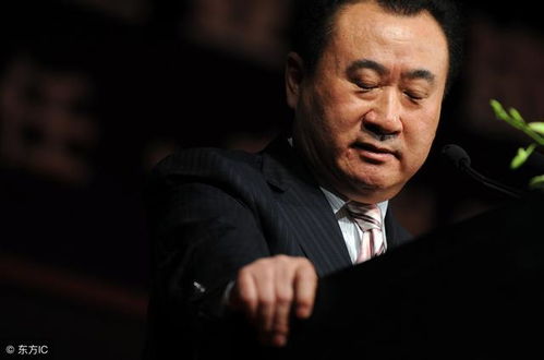50.4亿元债务风波，王健林遭遇苏宁追债