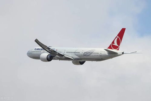 土耳其航空航天公司恐袭事件，三死之痛
