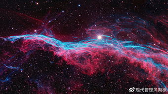 守护东北雨宙，拒绝平行宇宙的侵蚀