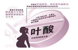 全面推进生育支持措施，迎接新生命的到来