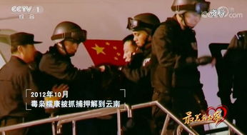 涉黑团伙覆灭记，警虎之妻逃至境外，正义终将胜利