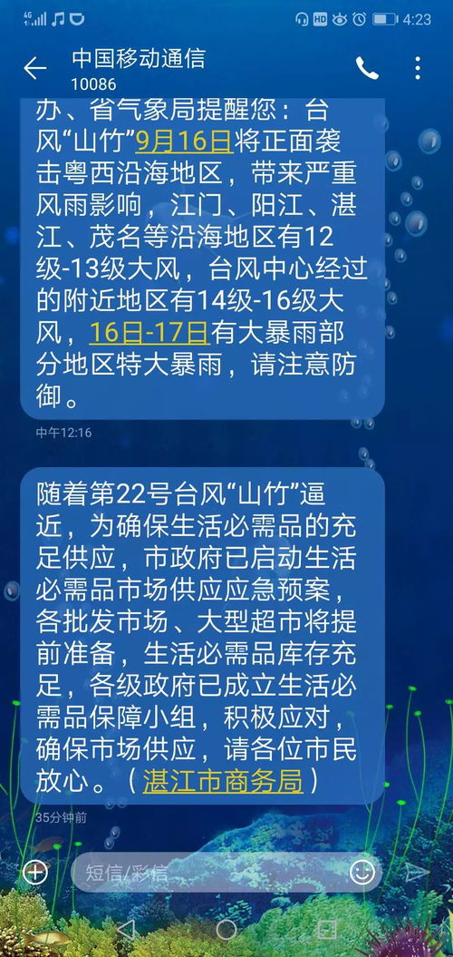 上海应对台风，学校停课决策的背后