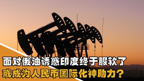印度神股一日暴涨6692535%的奇迹与启示
