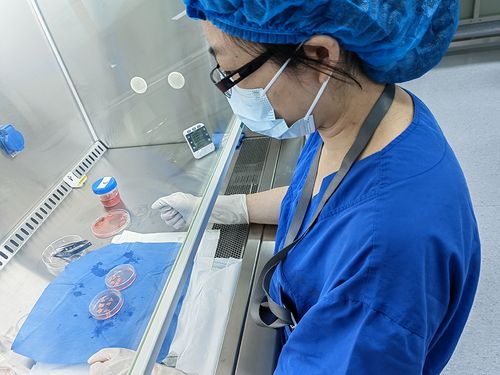 六岁女孩的未来之选，冷冻卵巢组织以避免化疗损害