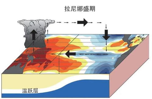 国家气候中心预测，我国今冬大概率偏冷