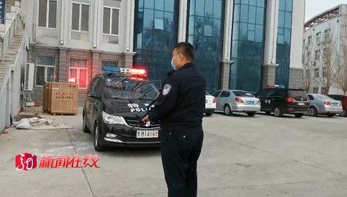杭州疯牛失控事件，民警果断开枪击毙保障公共安全