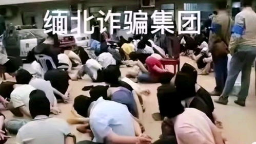失联少年疑踪缅甸，疑被非法组织控制