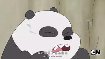 妙妙，你为何怕我？