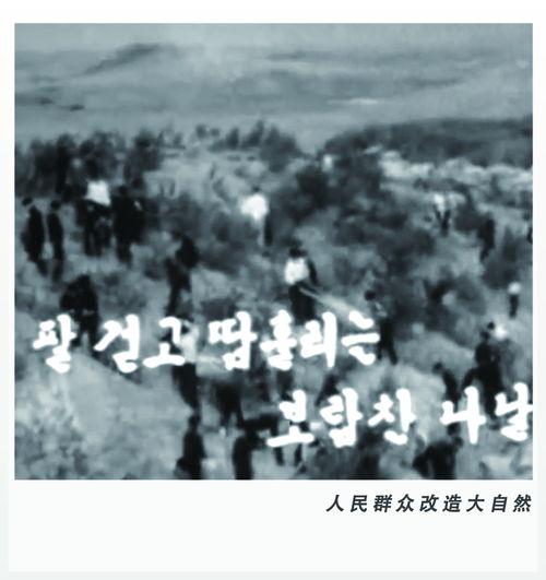 石破内阁，短暂存在的政治风云