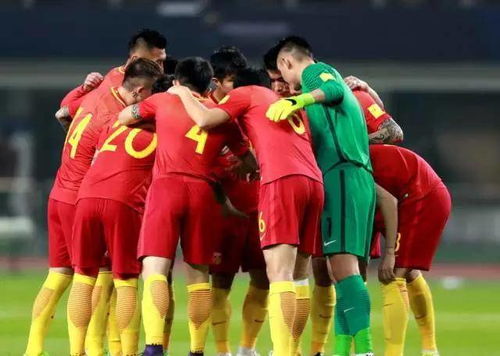 国足今晚开练，迈向荣耀之路的坚定步伐