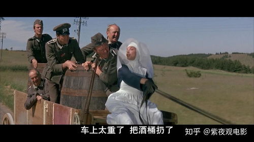 老人虎口脱险，与猛虎擦肩的惊魂时刻