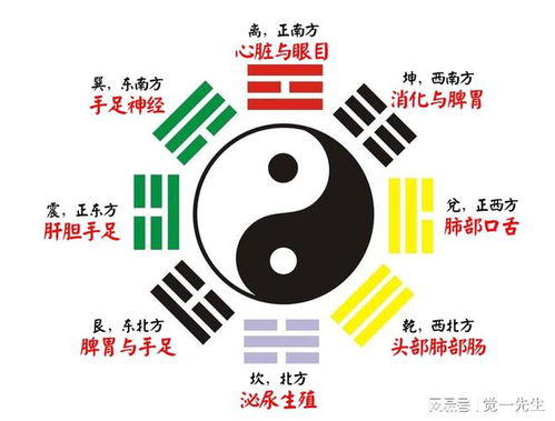 回忆中的数字印记——我的第一个网名