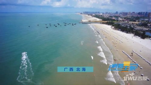 北海海水涌入市区街道，一场城市与海洋的较量