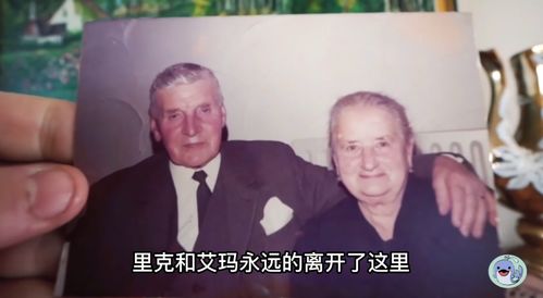 留几手谈丁克的原因