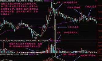 操纵股价案曝光，两人被证监会重罚，罚没近3.35亿