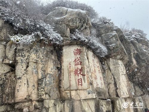 泰山雪深达20厘米，暴雪量级下的壮丽与挑战