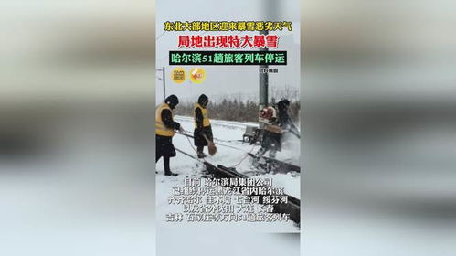 东北局地特大暴雪破纪录，自然之威与应对之道