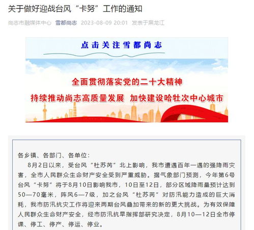 黑龙江一地中小学停课，原因、影响与应对策略